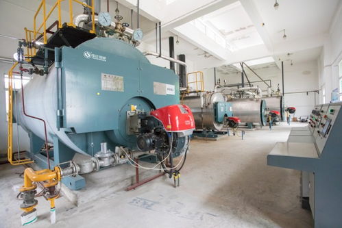 中正鍋爐匠心打造高效燃?xì)忮仩t系統(tǒng)，助力三易食品節(jié)能降耗