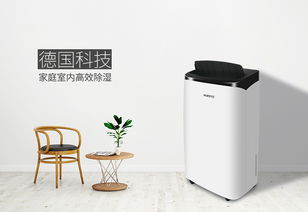 除濕機選購指南 詳解不同模式，找到最適合你的那一款